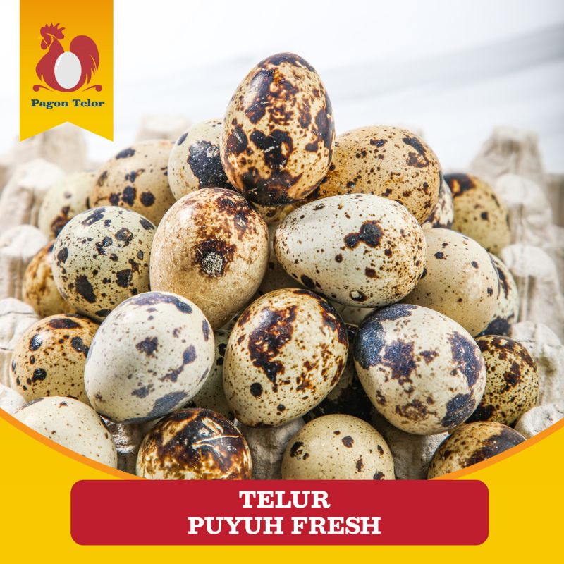 

TELUR PUYUH FRESH PER 30 BUTIR