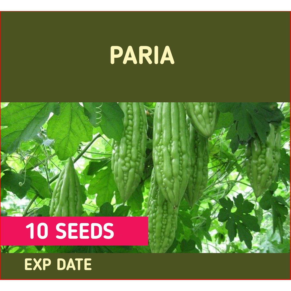 Repack Paria Seed