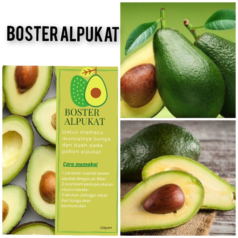 BOSTER ALPUKAT BOOSTER ALPUKAT PUPUK ALPUKAT PELEBAT BUAH ALPUKAT ANTI RONTOK BUNGA