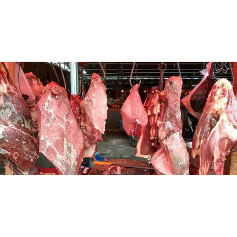 

daging sapi berkualitas