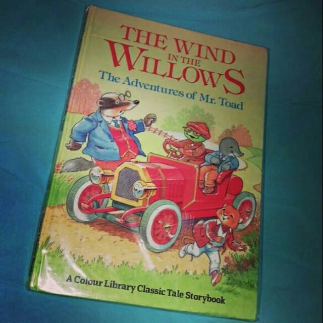 The Wind In The Willow