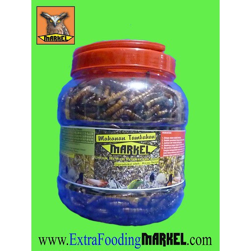 

Ulat Jerman Kering Utuh 500gr Toples