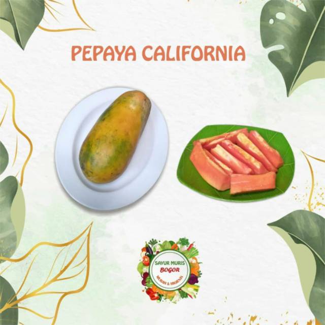 

PEPAYA CALIFORNIA / BUAH