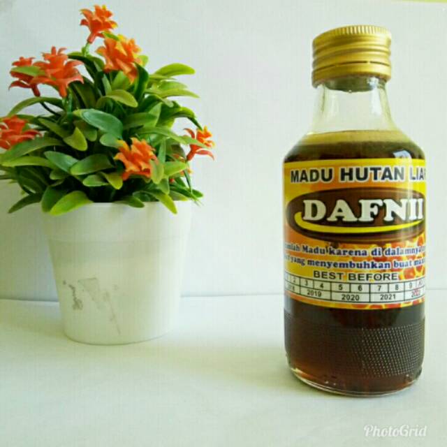 

Madu Hutan Liar Dafnii