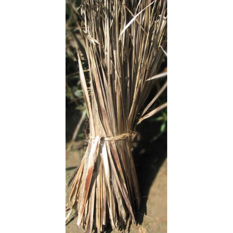 

Bungkus Gula Aren Daun Kelapa Kering / Kalari
