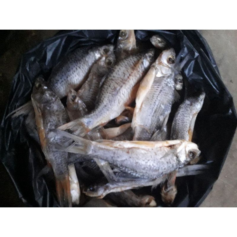

ikan asin nilem murah 500g