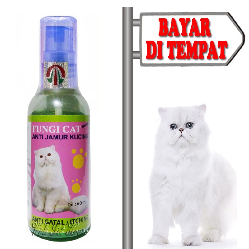 Obat Koreng Jamur Buduk Scabies Kucing Semprot Fungi Cat