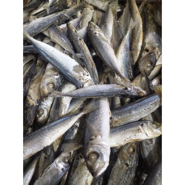 

Ikan Dencis Rebus