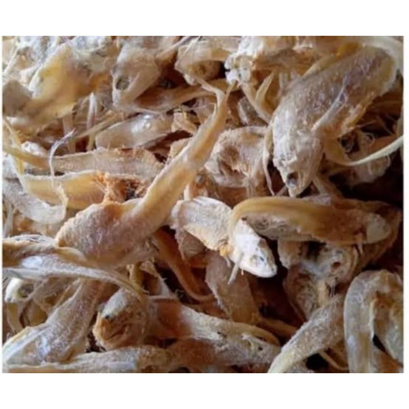 

IKAN ASIN BULU AYAM PER 100 GR SAYUR SEGAR PALEMBANG