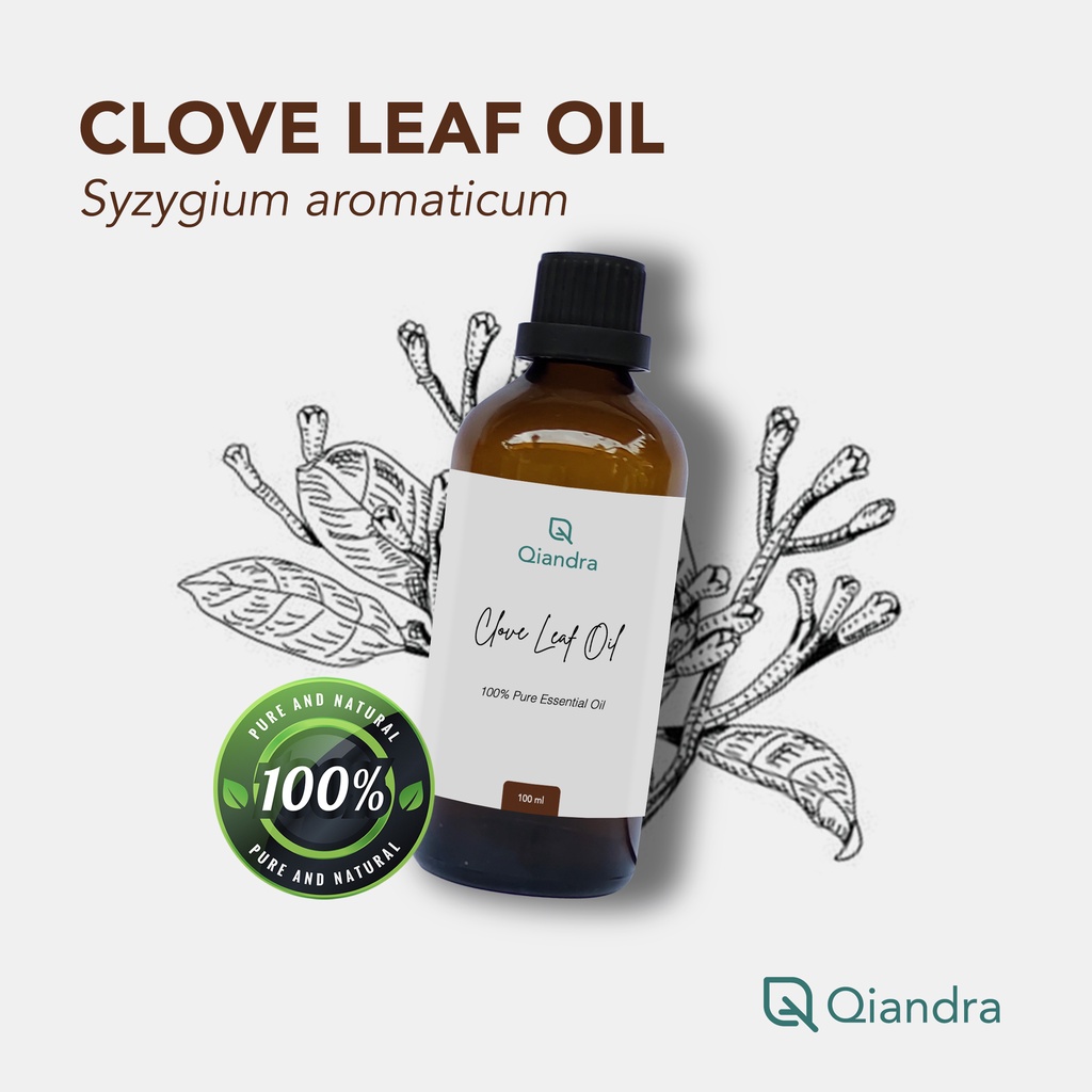 Minyak Cengkeh Murni / Clove Leaf Oil (Syzygium Aromaticum) 100% Minyak Atsiri Cengkeh ASLI