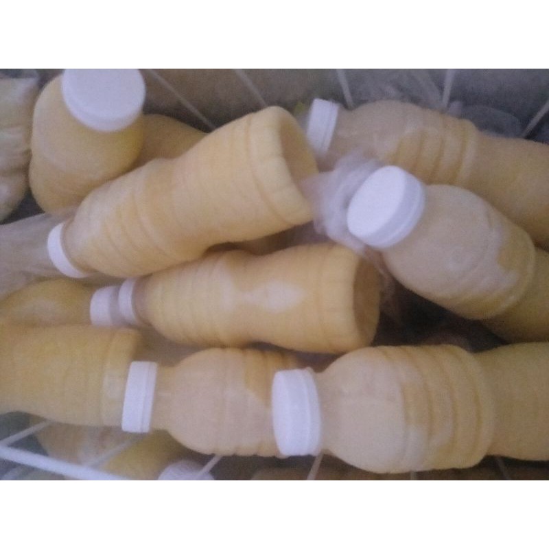susu kefir kolostrum sapi 200ml perahan pertama p1