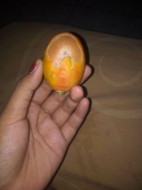 Maura Couple - Sania Ruffle Batik Couple Ori Ndoro Jowi Dnt Garansi Termurah Shopee -