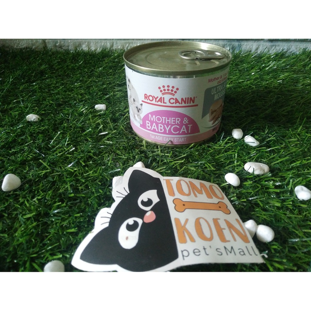 Royal Canin Mother And Baby Cat Wet Food Makanan Kucing Shopee