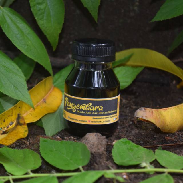

Madu Hutan Asli Sulawesi