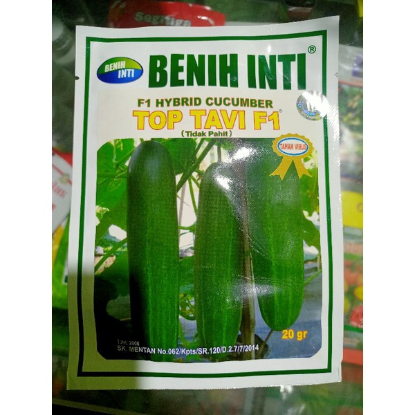 BENIH TIMUN INTI HYBRID CUCUMBER TOP TAVI F1