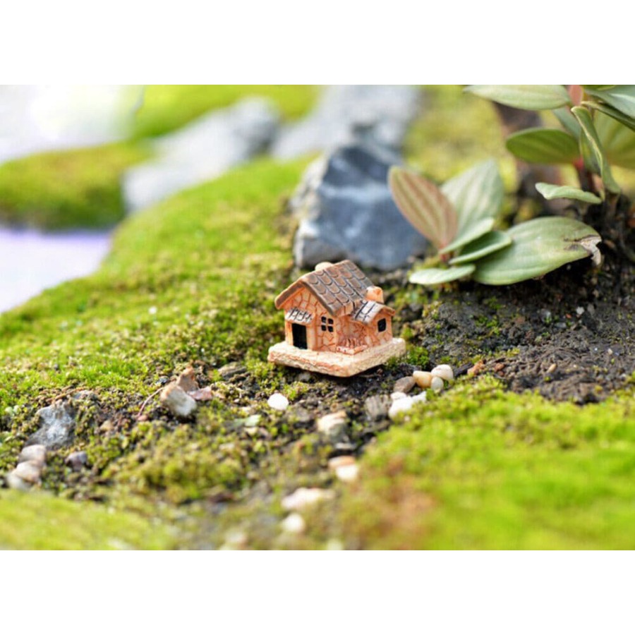 Miniatures - Terrariums - Stone House #01