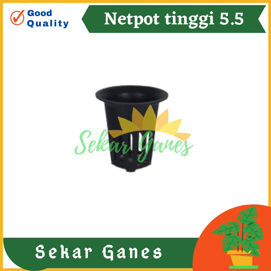 100PCS NETPOT 5CM HITAM NEWDESIGN TINGGI 5.5CM NET POT HIDROPONIK HYDROPONIC 5 CM MURAH