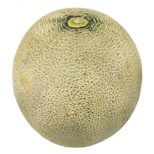 

MELON SUPER / SKY ROCKET 2500 GR