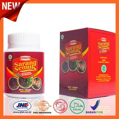 Walatra Sarang Semut - Kapsul Ekstrak Sarang Semut Papua - Sarang Semut Asli Papua - 100% Bergaransi