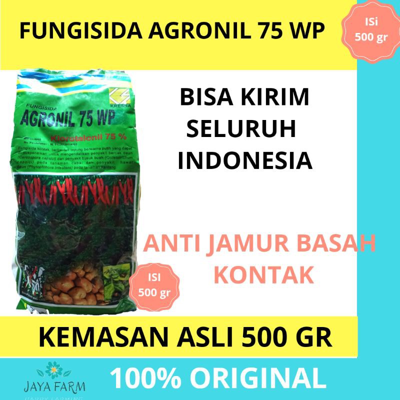 FUNGISIDA AGRONIL 75 WP (KLOROTALONIL 75%) | ISI 500 GR | ANTI JAMUR TANAMAN