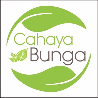 Tanaman Hias Philodendron Monstera Shopee Indonesia Tanaman Hias Philodendron Monstera Shopee Indonesia