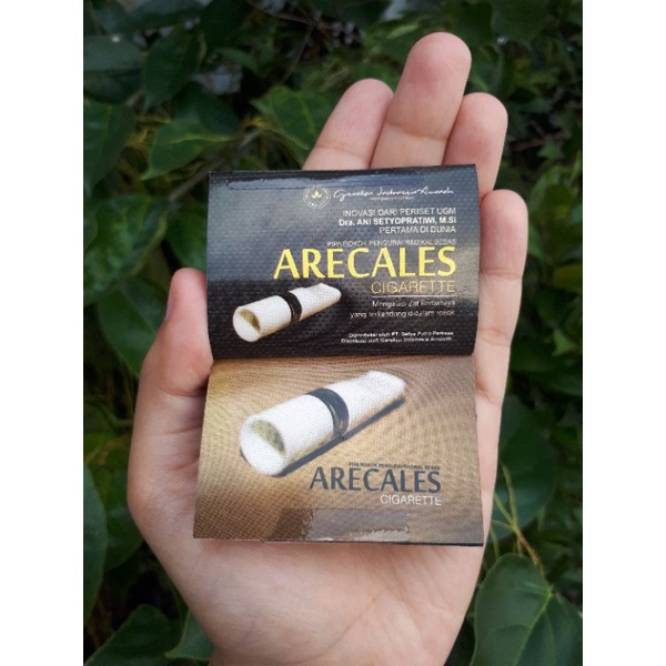 

Arecales Cigarette pipa rokok (Pengurai radikal bebas)