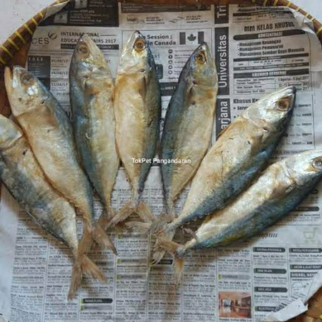

Ikan asin peda satuan