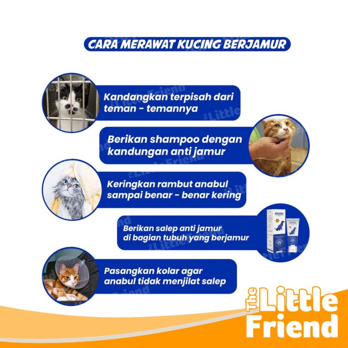 Salep Cream Oles Jamur Antifungal Hewan Anjing Kucing Kelinci KETOVAR