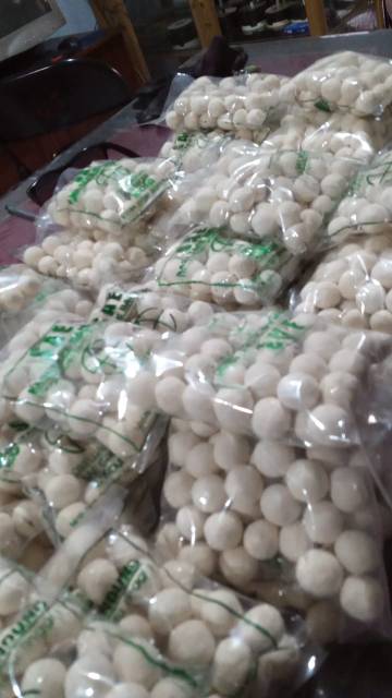 

ADY78 Ragi tape ketan berkualitas .Satu bungkus isi 50 butir ,satu butir berat 3 gram. Satu butir