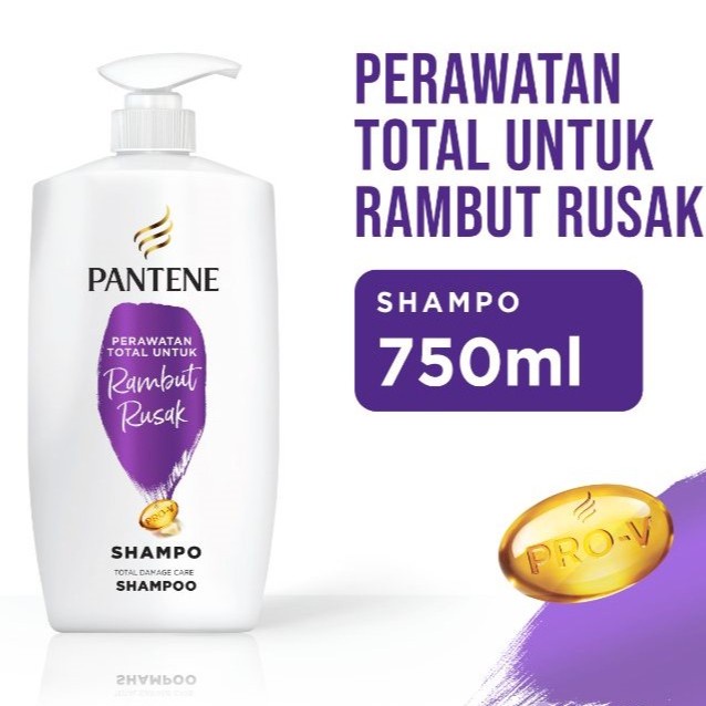 SAMPO PANTENE PERAWATAN UNTUK RAMBUT RUSAK PUMP 750ML