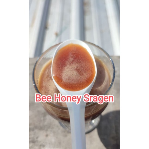 

Madu Murni Akasia Carva