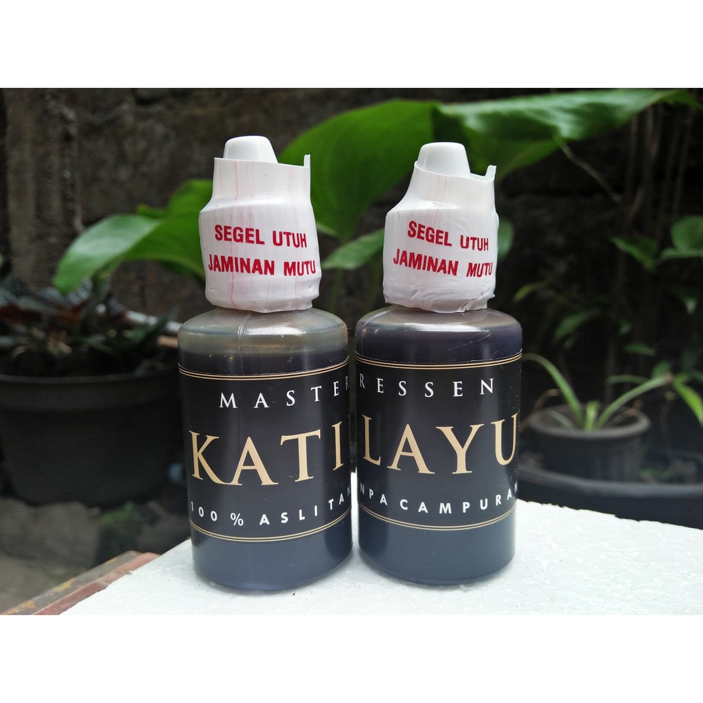 Essen Katilayu Untuk Ikan Nila