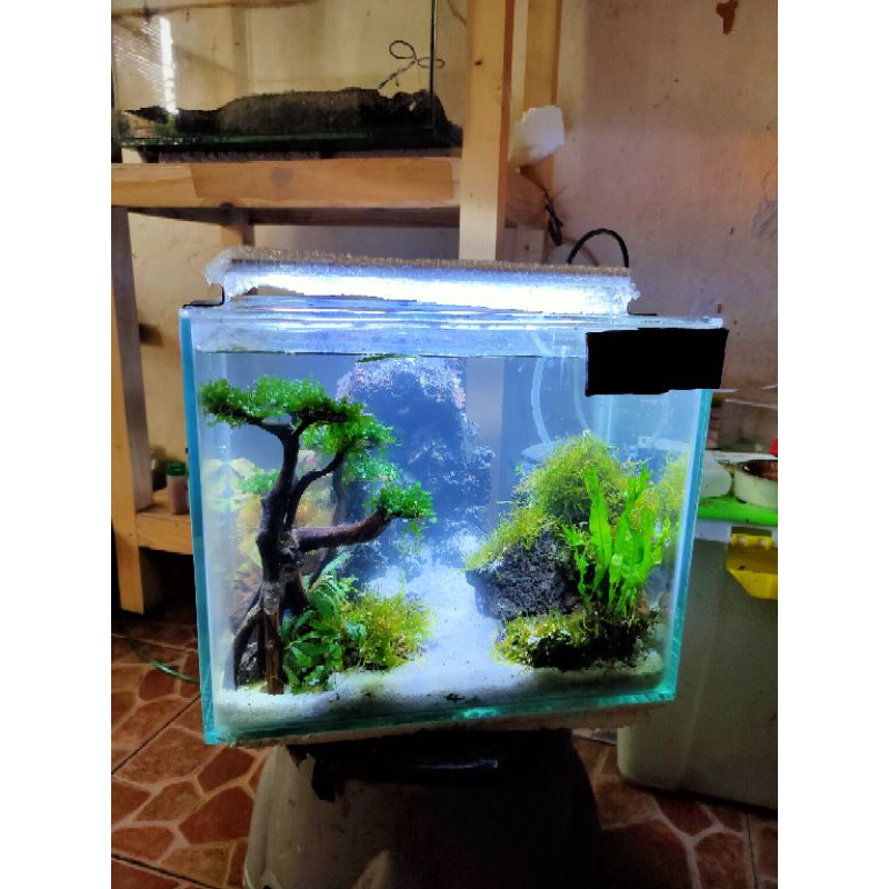 aquascape waterfall murah fullset mini tank