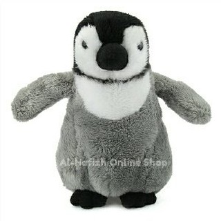 7800 Gambar Hewan Penguin HD Terbaru