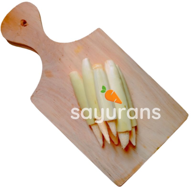 

SAYURANS Jagung Putren -+ 1 KG