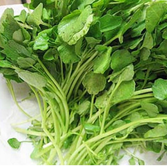 Selada Air Organik 250g / Organic Watercress 250g