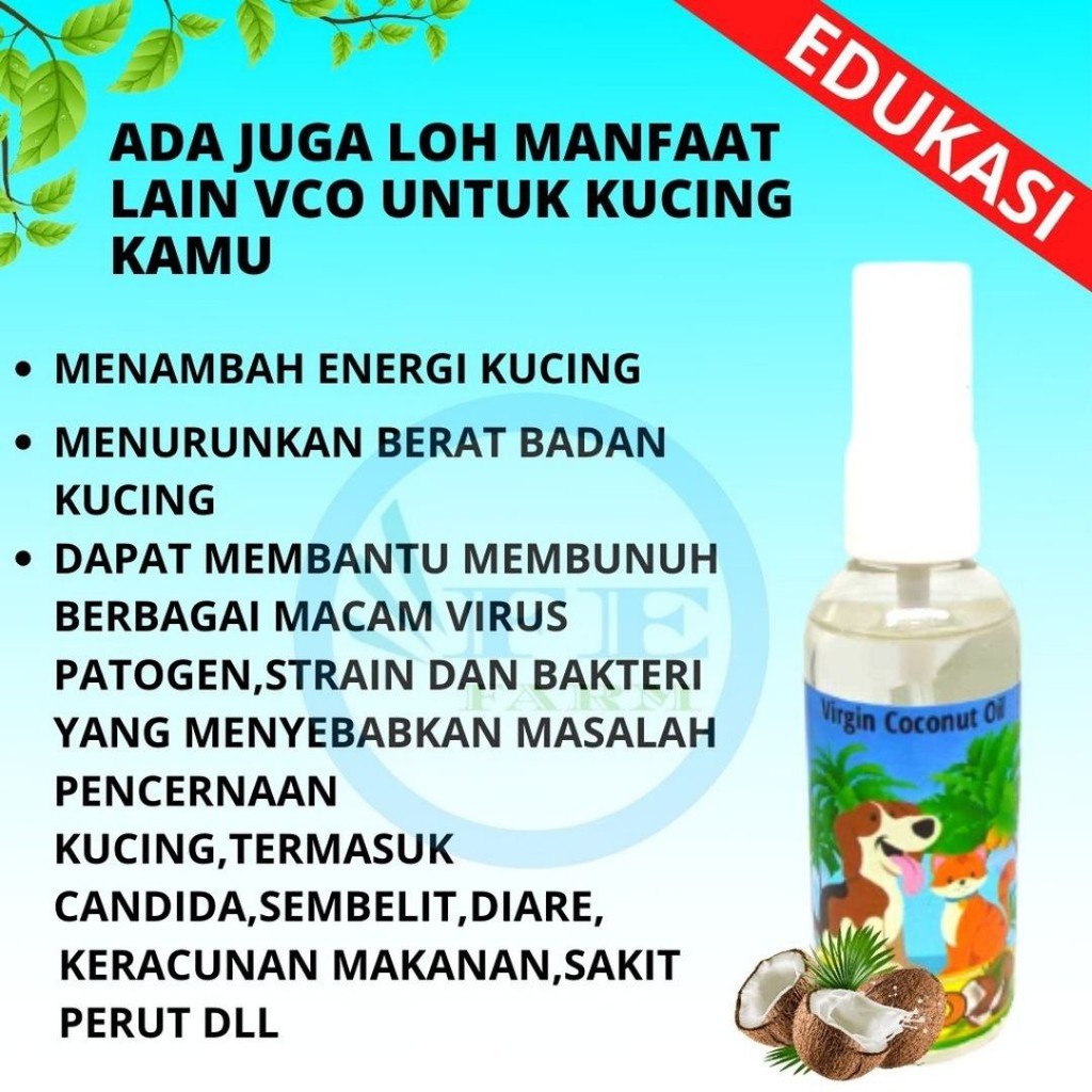 VCO KUCING 60ML Virgin Coconut Oil OBAT JAMUR SCABIES SPRAY KUCING FEFARM