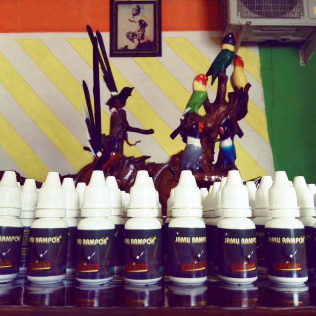 

Jamu Rampok ( Penggacor )