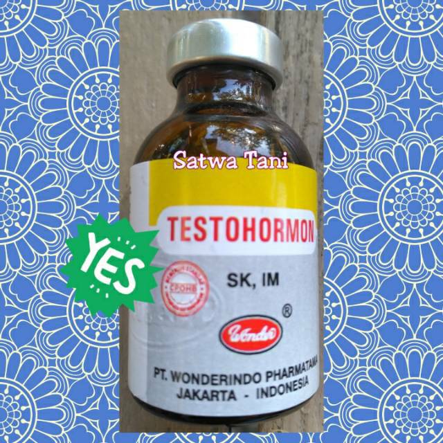 TESTOHORMON (HORMON PEJANTAN )