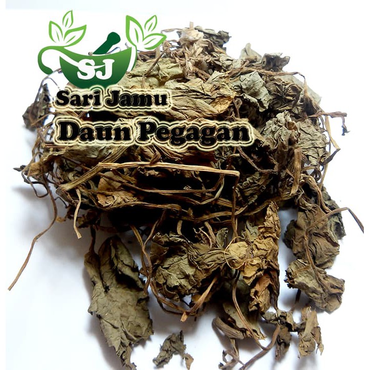 

Jamu Herbal Tradisional Daun Pegagan 250 Gr Untuk Wasir - ju1401
