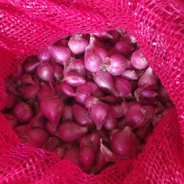 

Bawang merah brebes