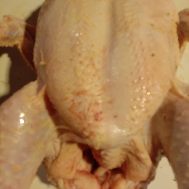 

daging ayam segar(AYAM UTUH)dijamin segar pengiriman leawat gosend per1Kg