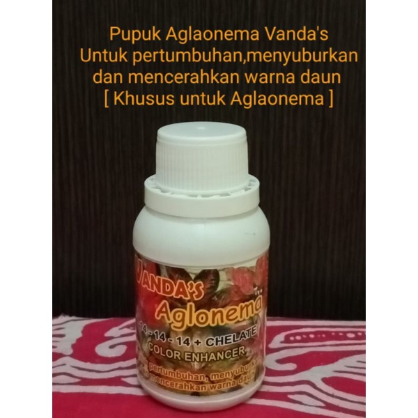 Pupuk Cair Tanaman Hias Pupuk Aglonema Pupuk Nutrisi Aglonema
