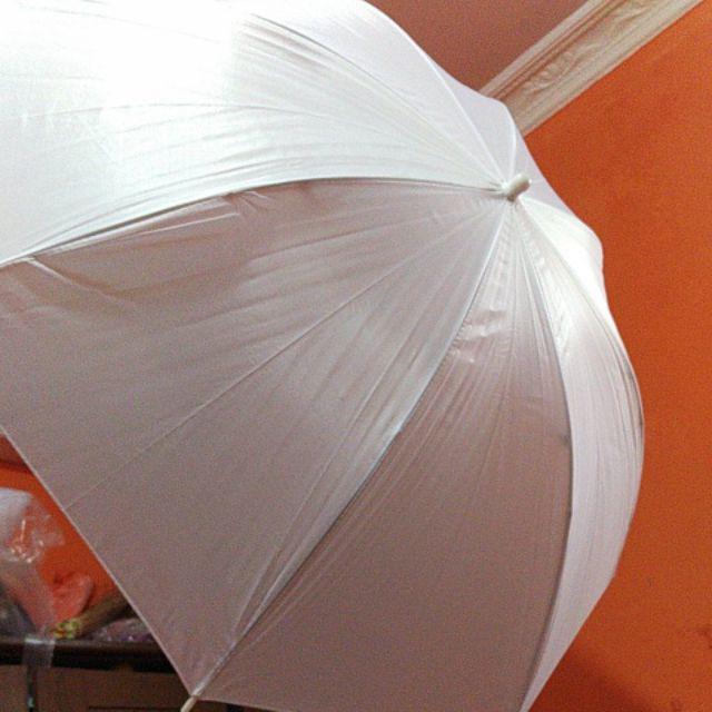Umbrella Translucent / Payung Transparan 33inch(83cm)