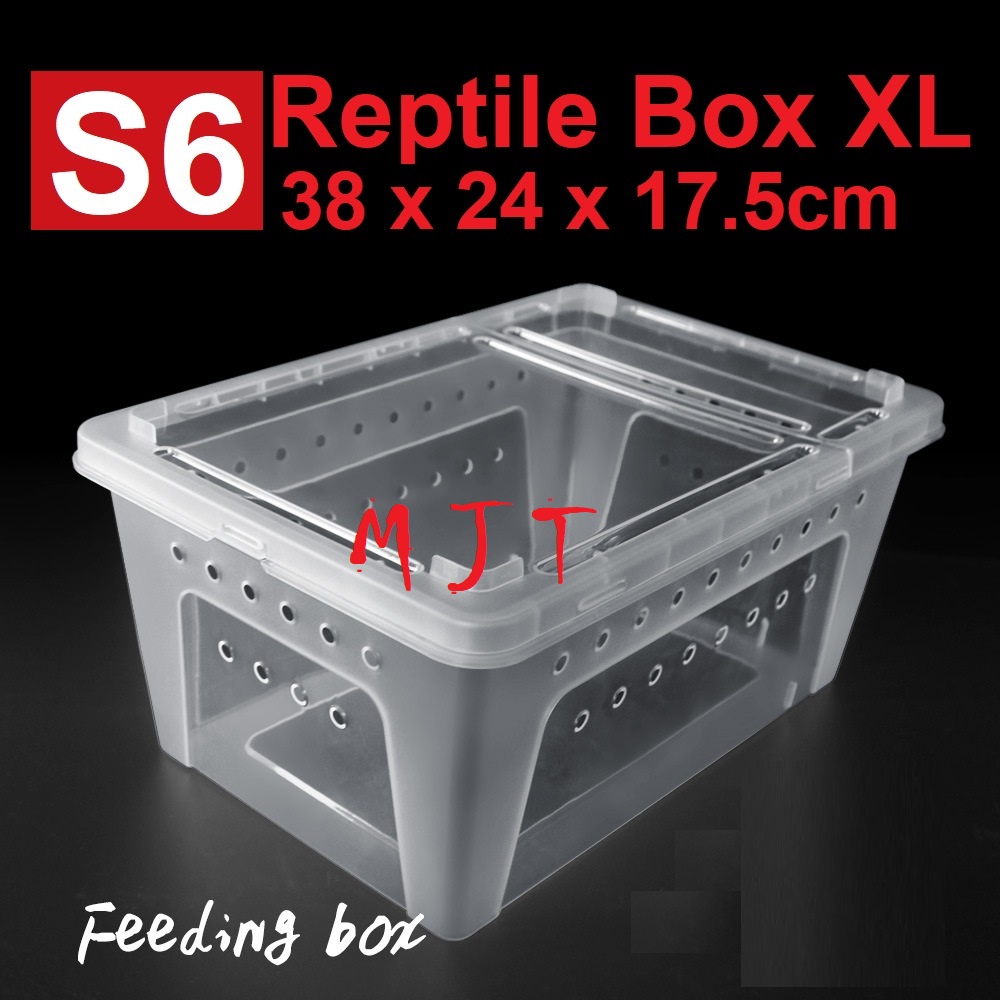 Jual Kandang Tarantula Enclosure Tarantula Box Reptil PACMAN CORN Snake Gecko Kura Air XL S6 ...