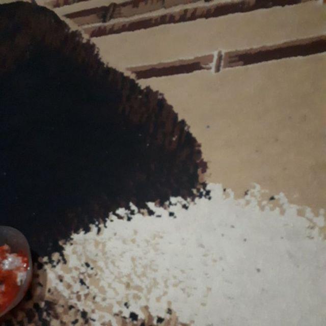 Pembasmi Tikus Tetes Impor Original