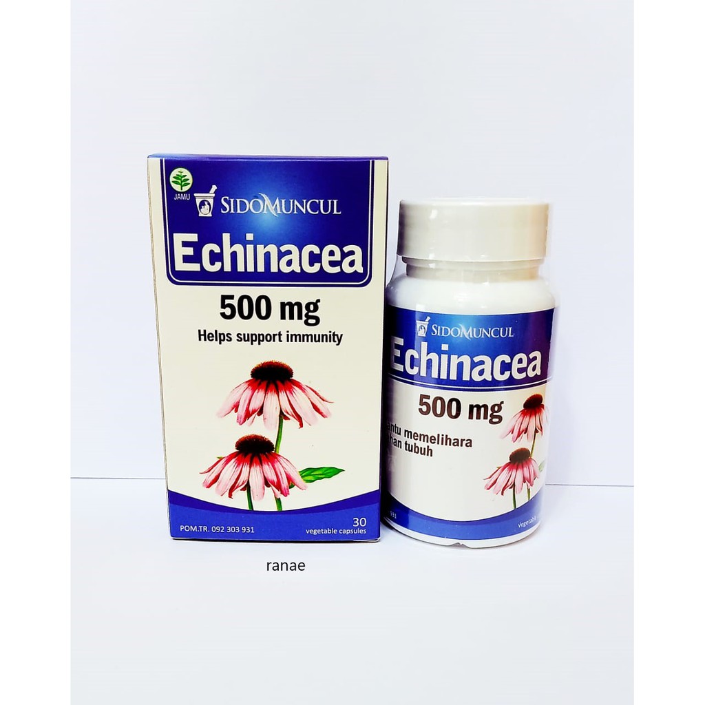 Echinacea Sidomuncul Herbal isi 30 Kapsul - kekebalan Imunitas Tubuh