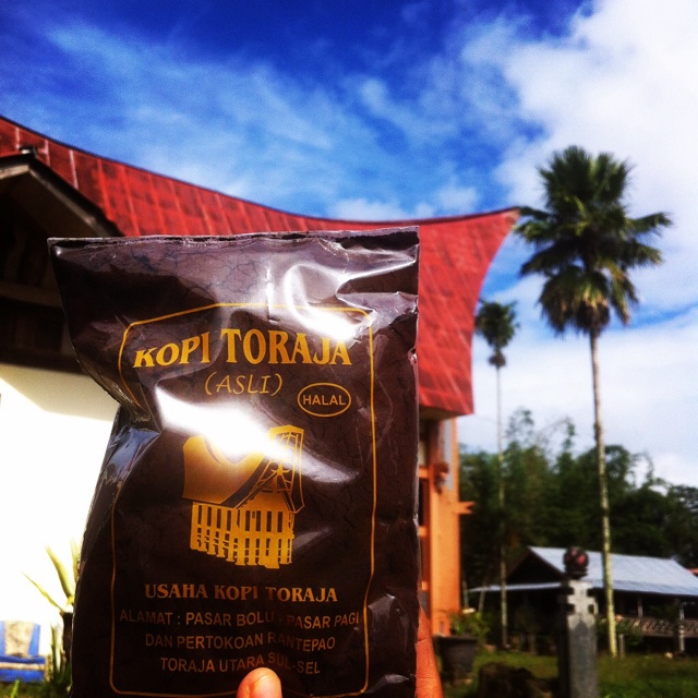 

Kopi arabika