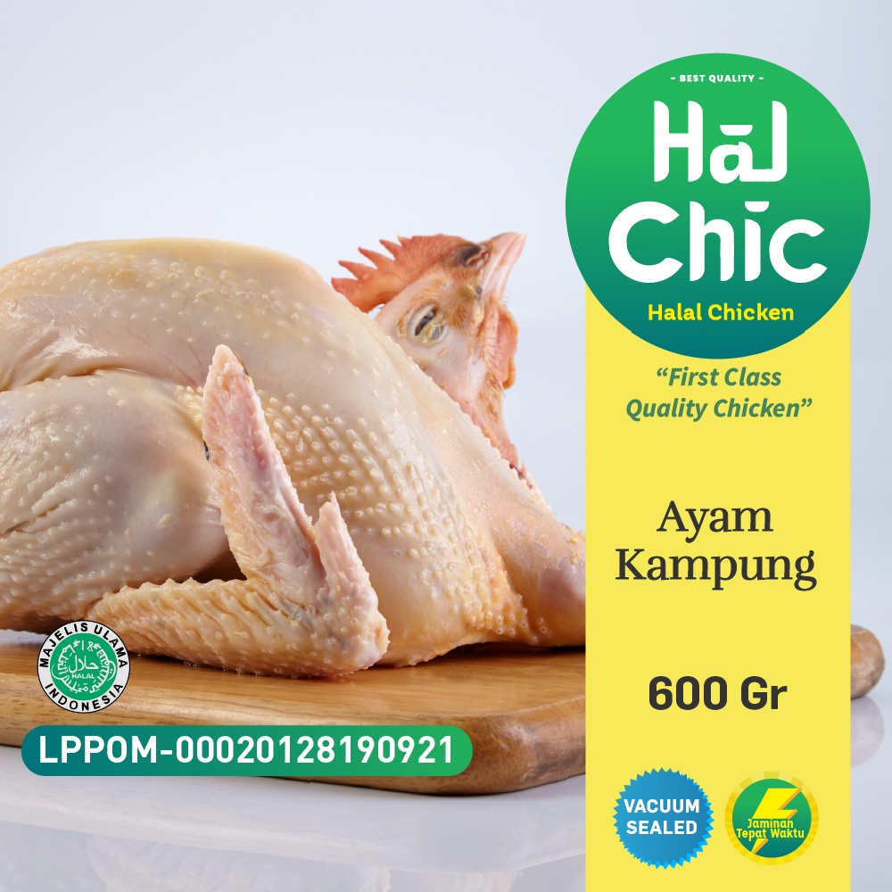 

Ayam Kampung 600 Gram HalChic