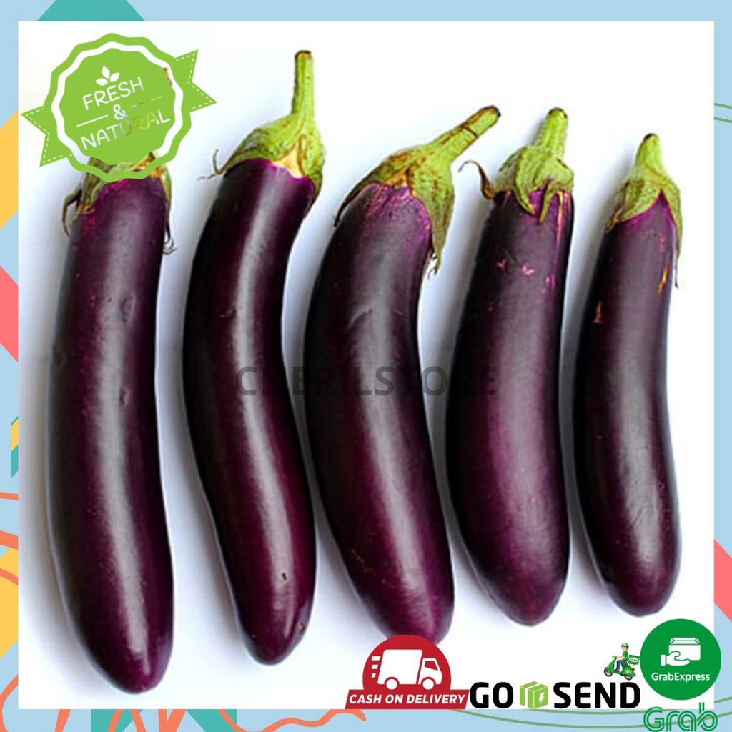 TERONG UNGU EGGPLANT SAYUR SAYURAN SEGAR FRESH 500GR